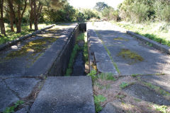 
Cross Creek loco sheds, September 2009